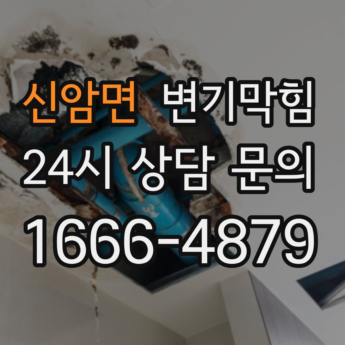 신암면 변기막힘