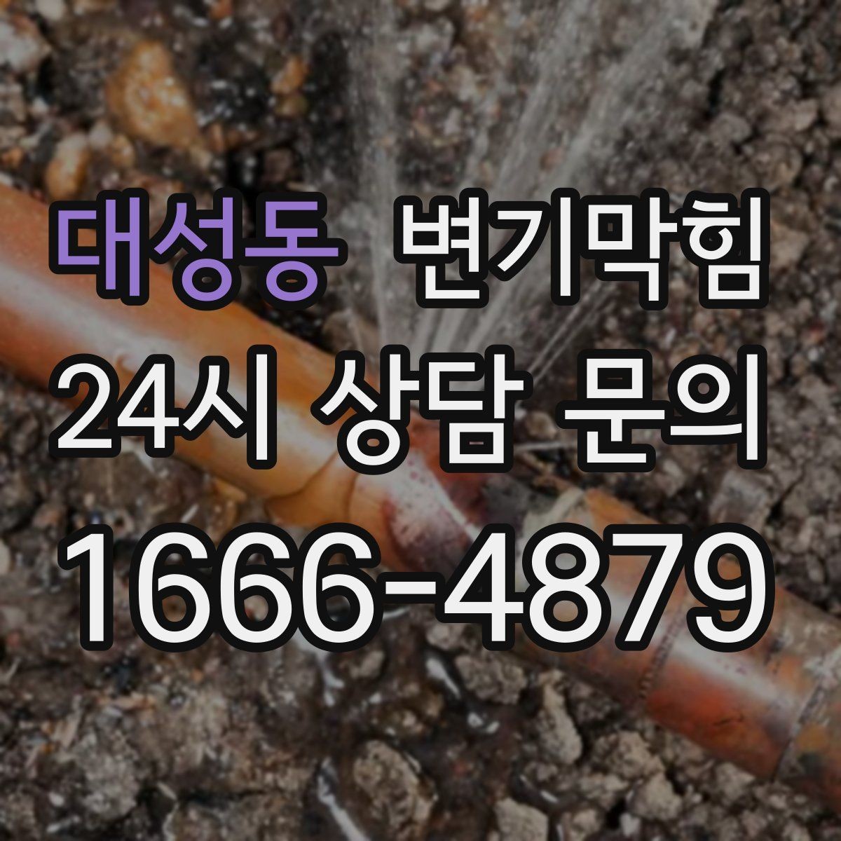 대성동 변기막힘 식당 화장실역류 배출 각도 미세 조정