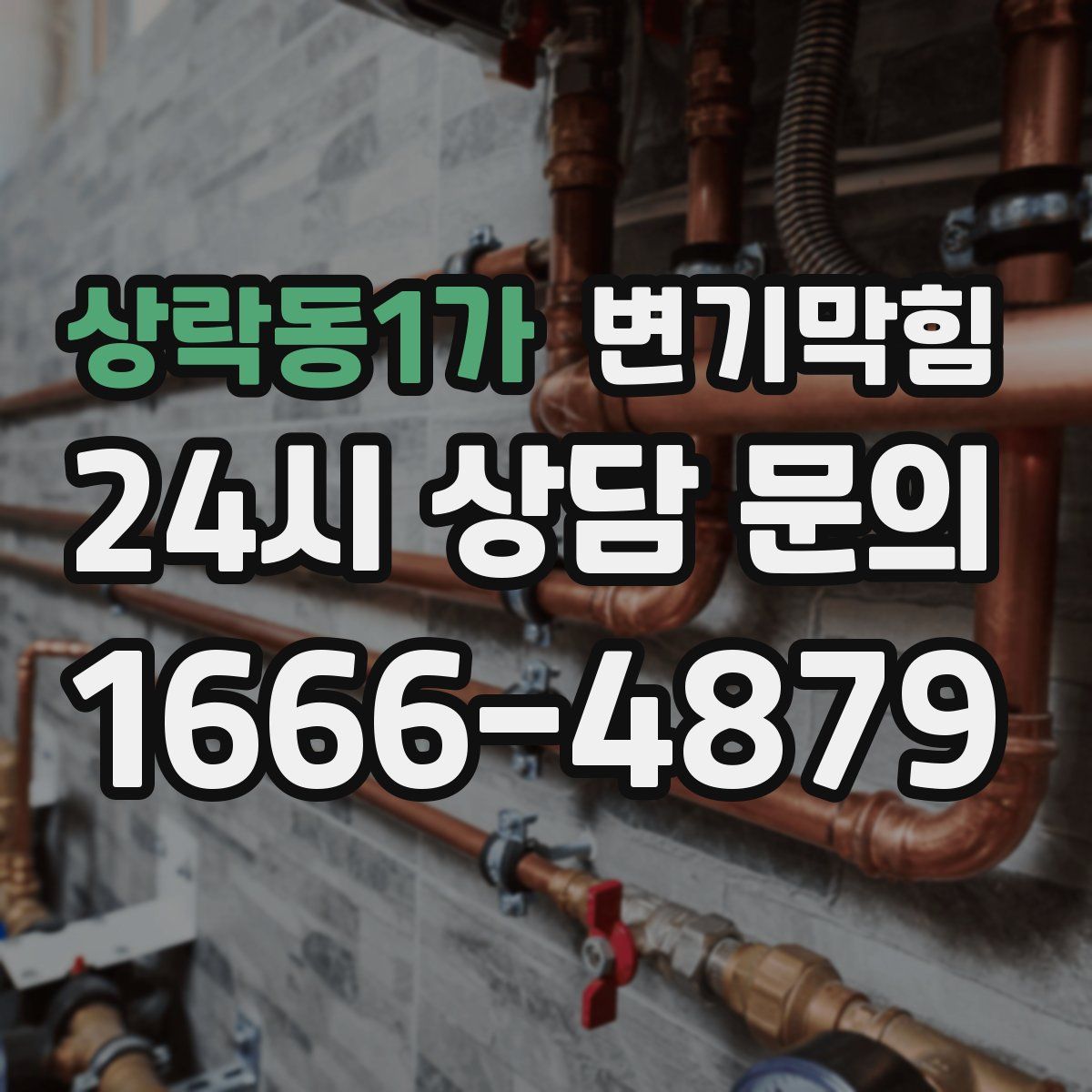 상락동1가 변기막힘