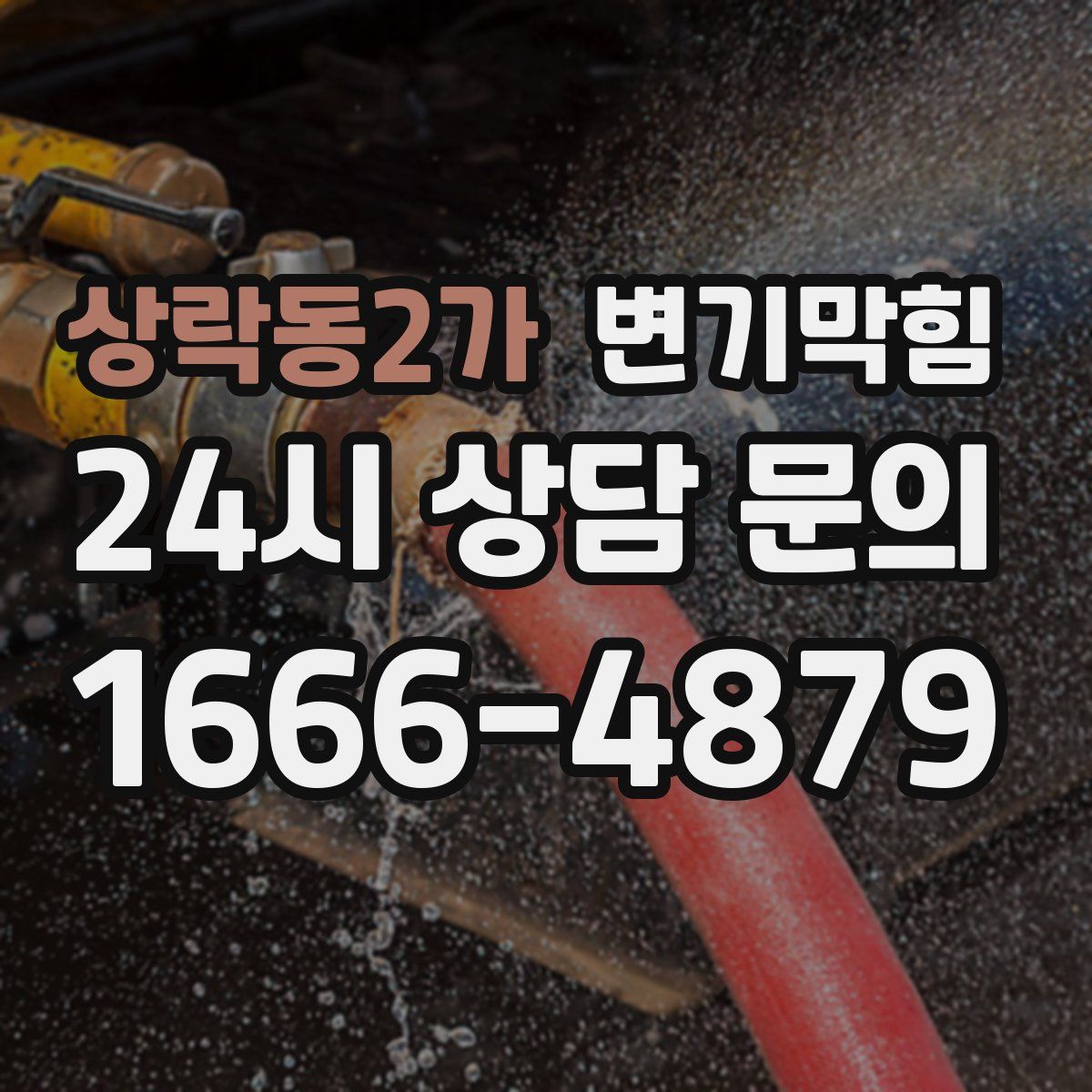 상락동2가 변기막힘