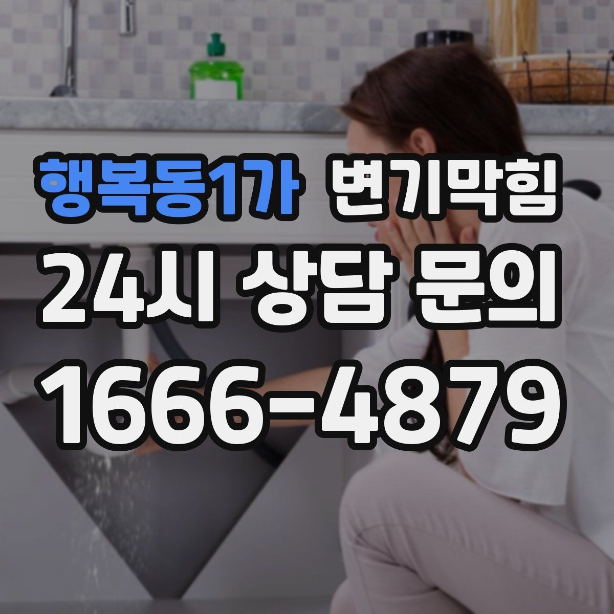 행복동1가 변기막힘 변기물이안찰때만 생기는 소리 구분