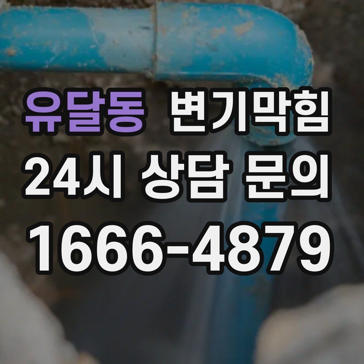 유달동 변기막힘 변기막혔을때 바닥 실링 젖음 확인