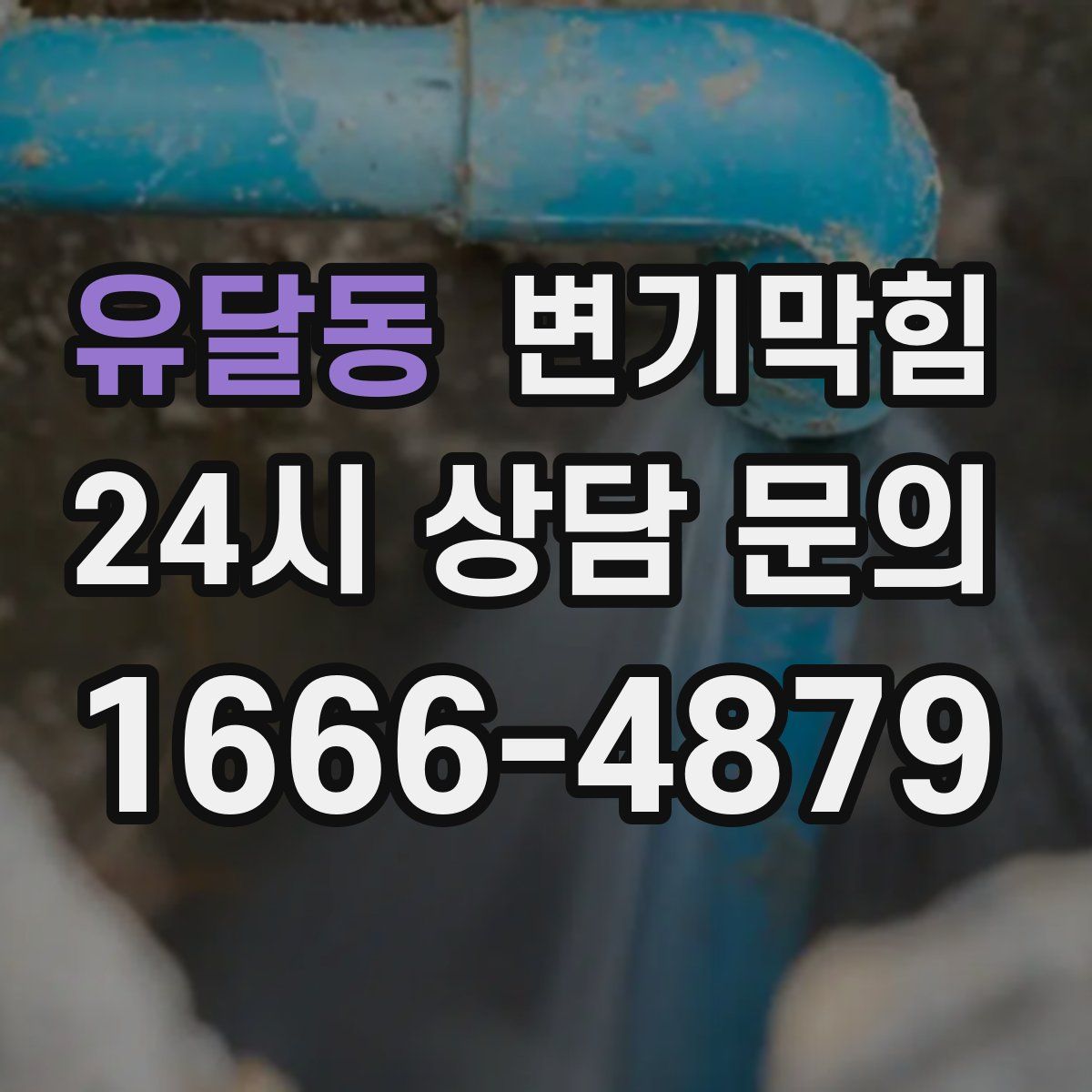 유달동 변기막힘