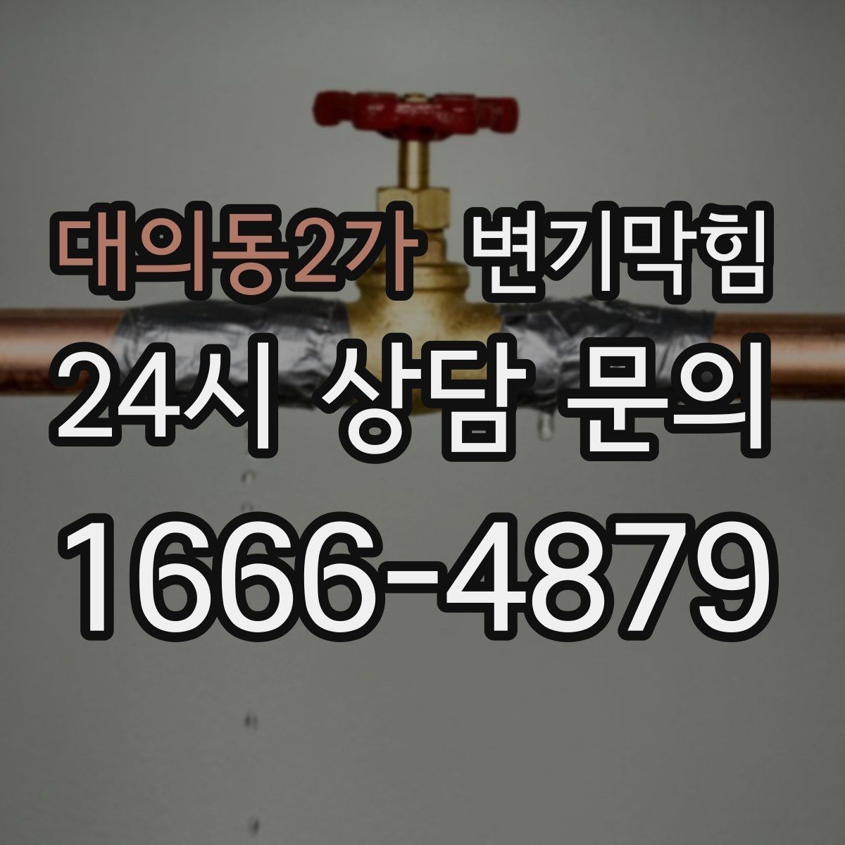 대의동2가 변기막힘 다가구 배수구막힘 합류 간섭 제거