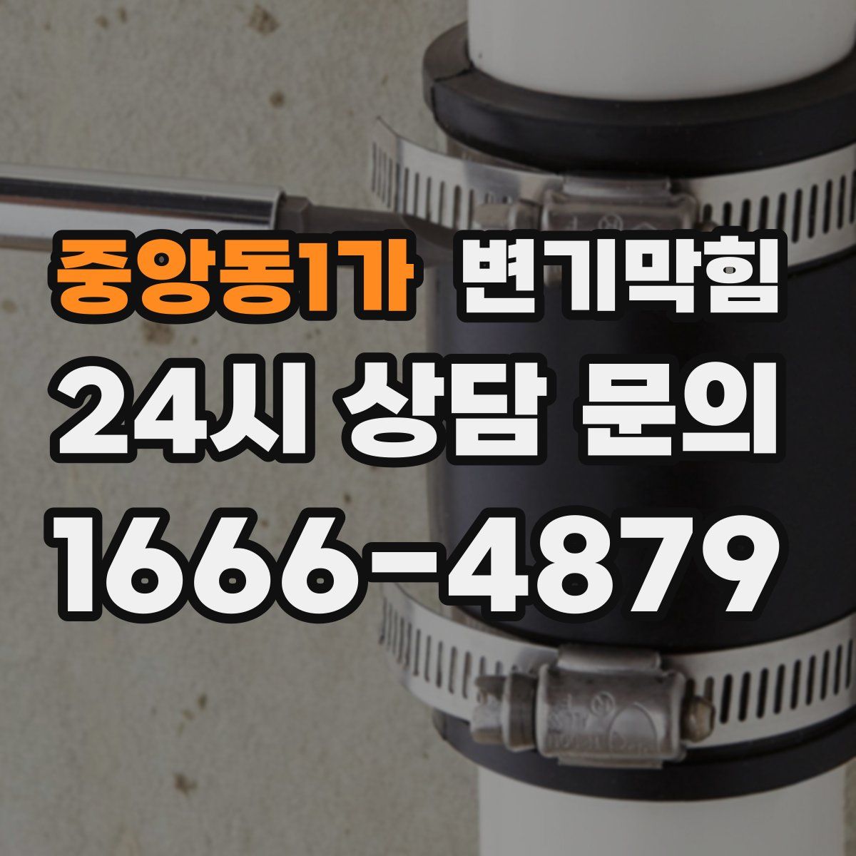 중앙동1가 변기막힘