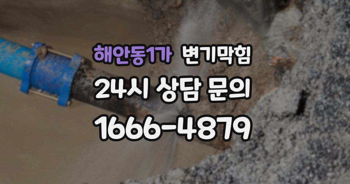 해안동1가 변기