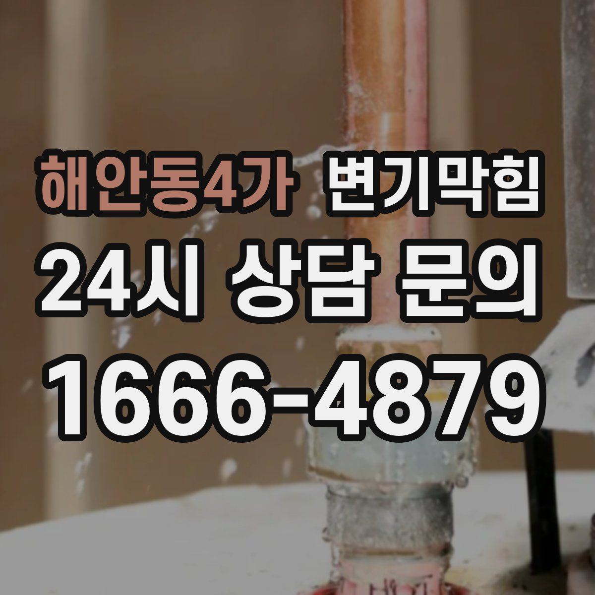 해안동4가 변기막힘