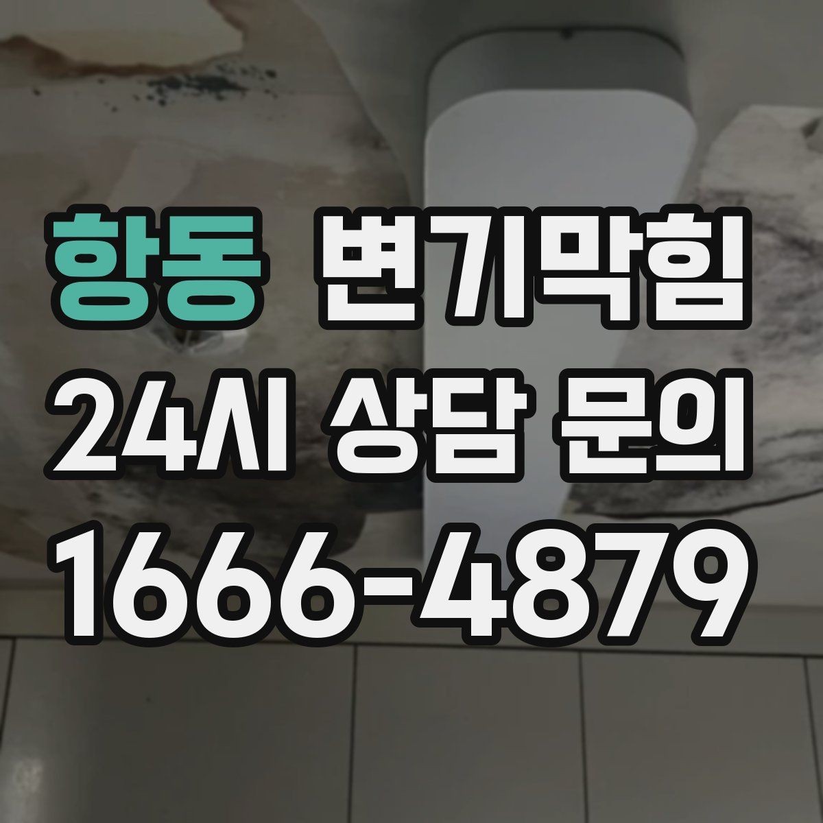 항동 변기막힘 변기 뚫는 법 장갑·수건 준비 체크