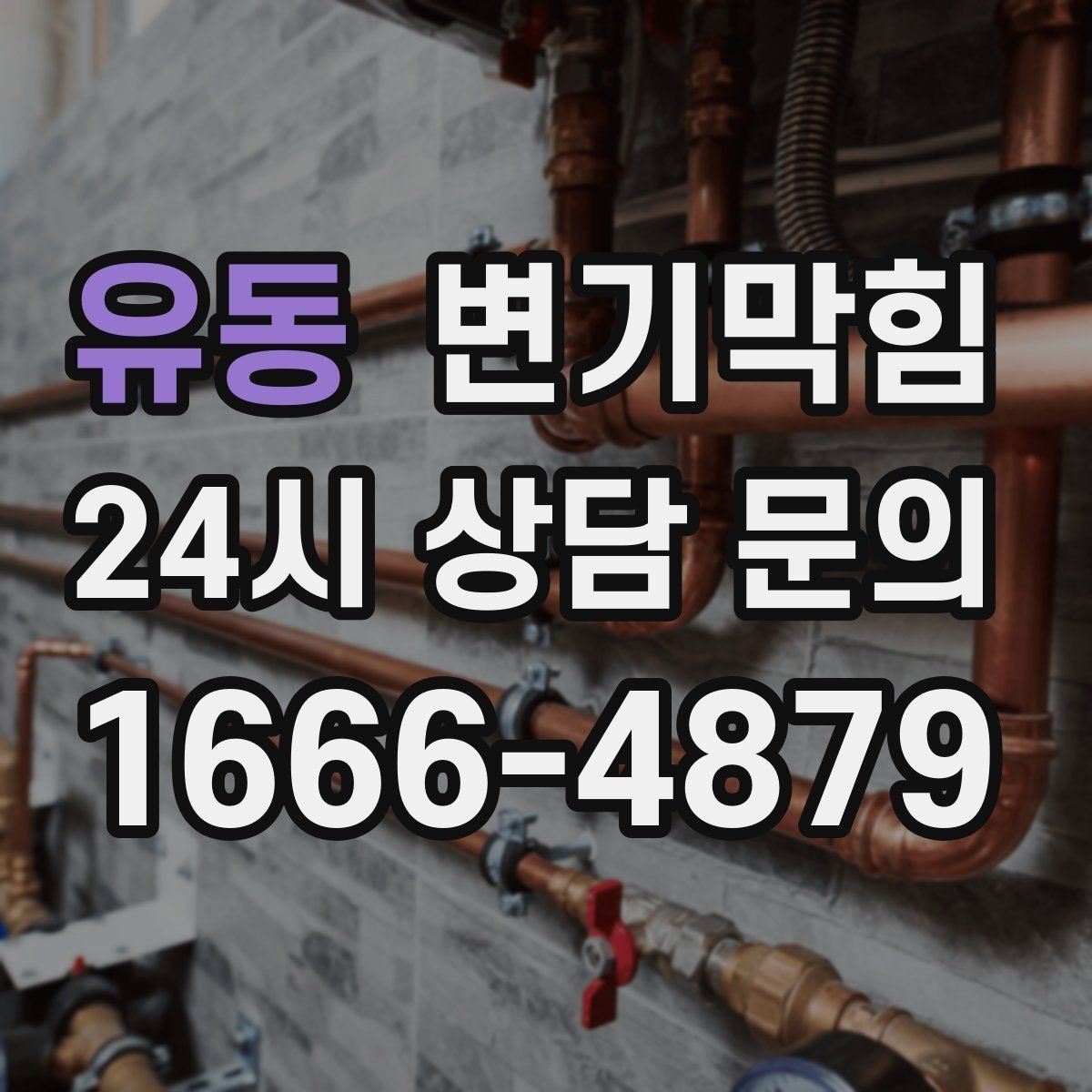 유동 변기막힘 카페 변기뚫기 소형 장비 퀵 복구