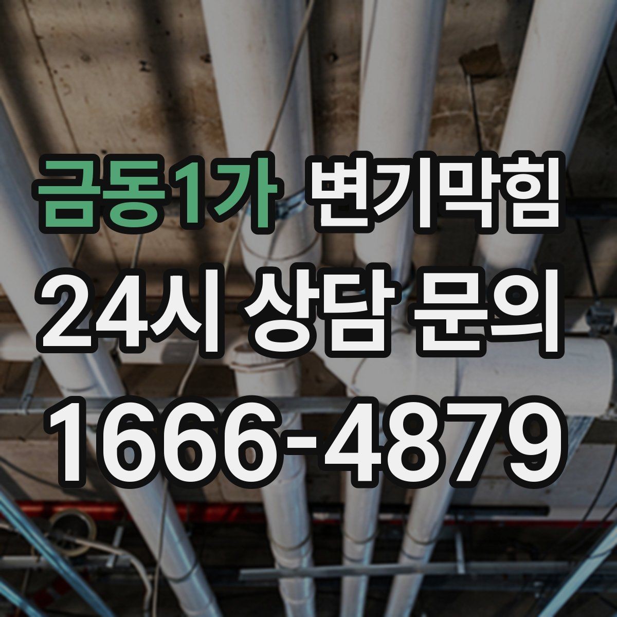 금동1가 변기막힘 원룸 변기뚫기 초기 신호 포착 사례