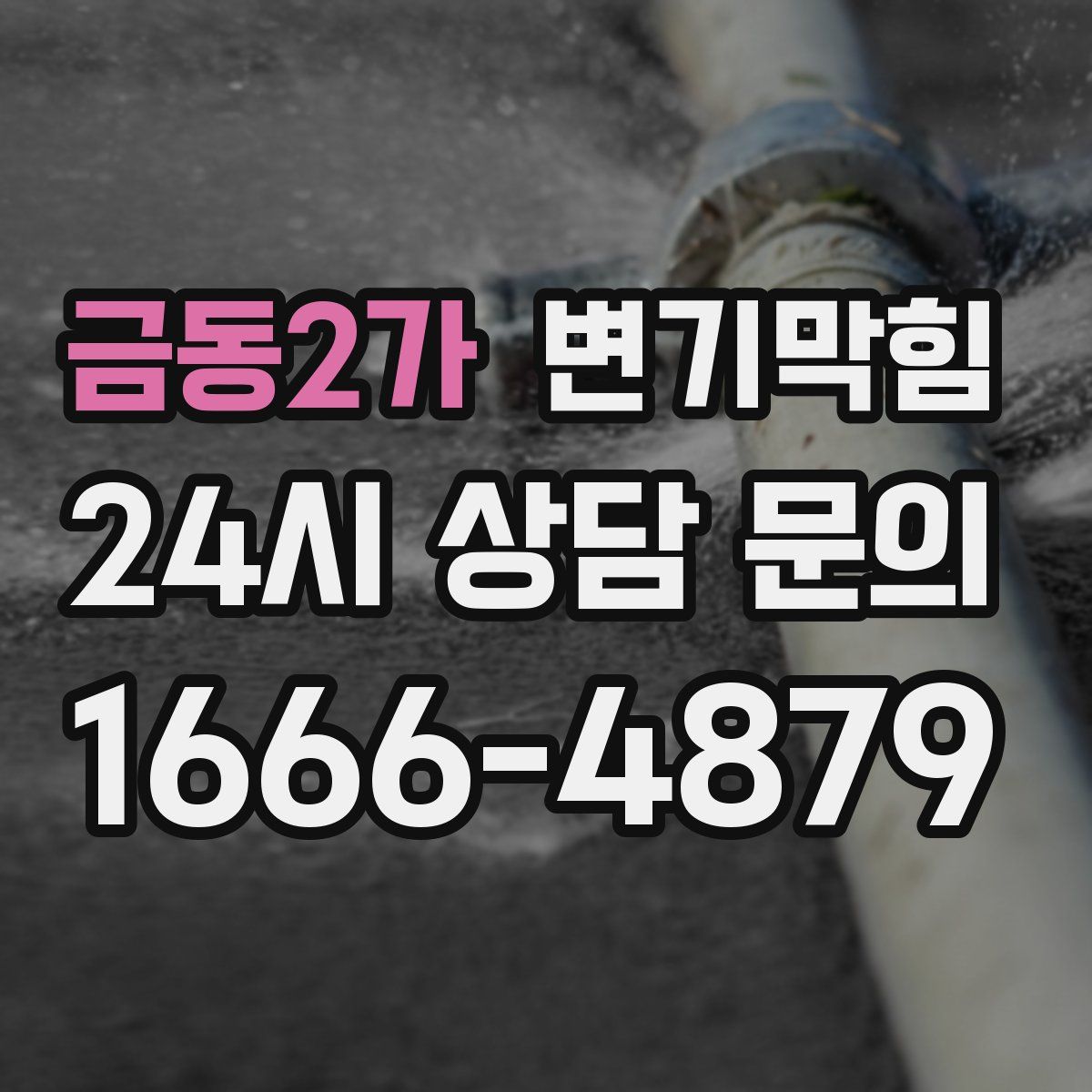 금동2가 변기막힘