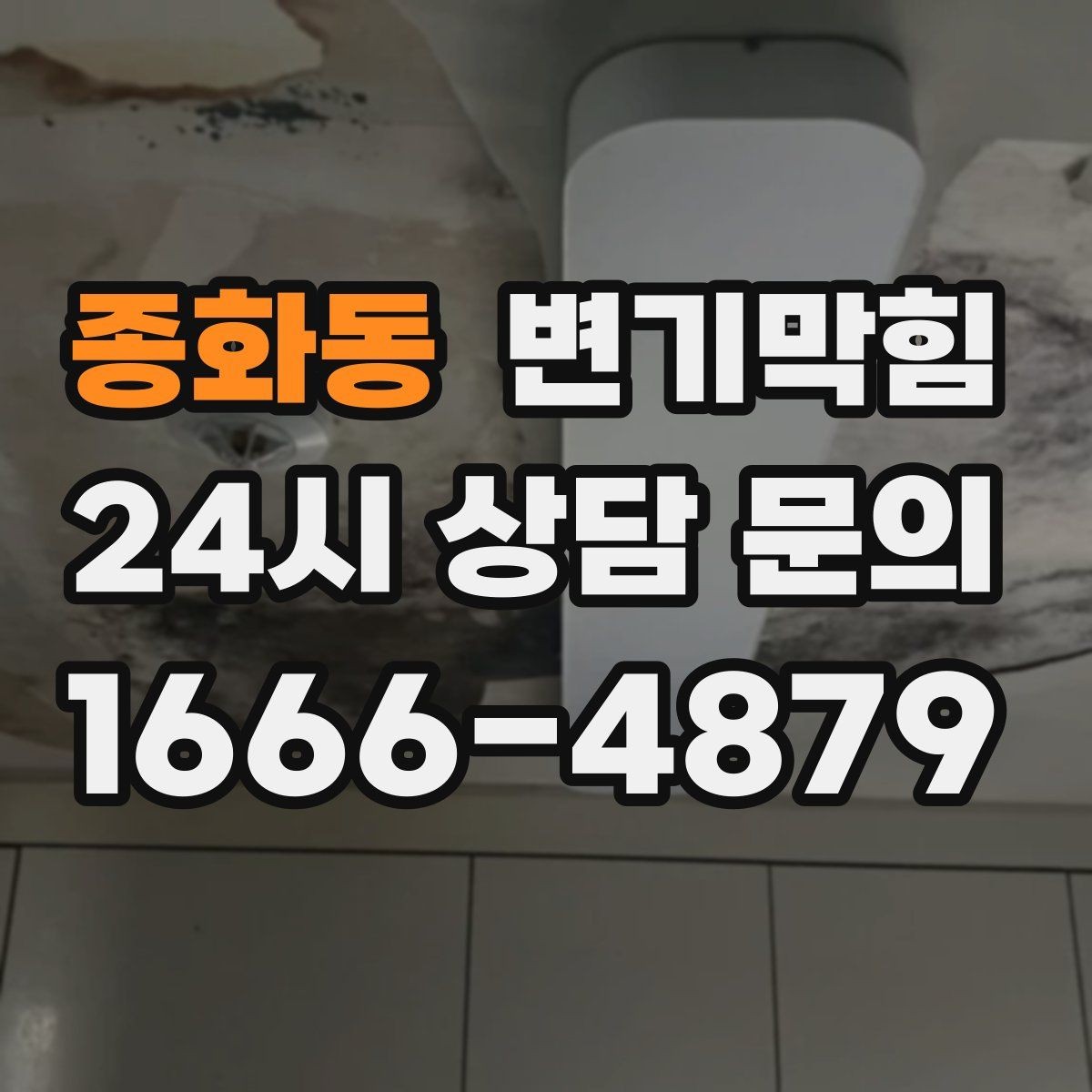 종화동 변기막힘 카페 배수구막힘 악취 잡은 사례