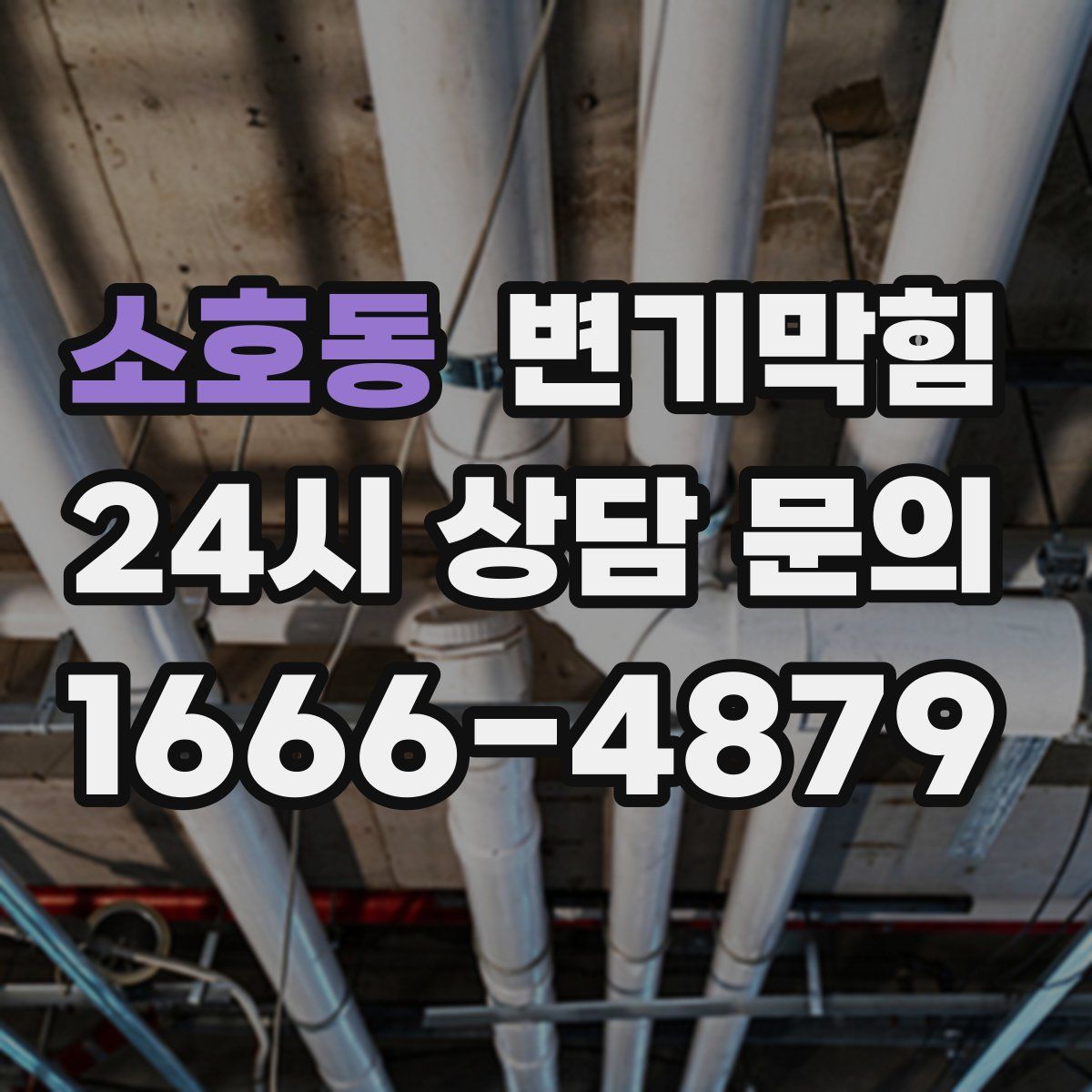 소호동 변기막힘