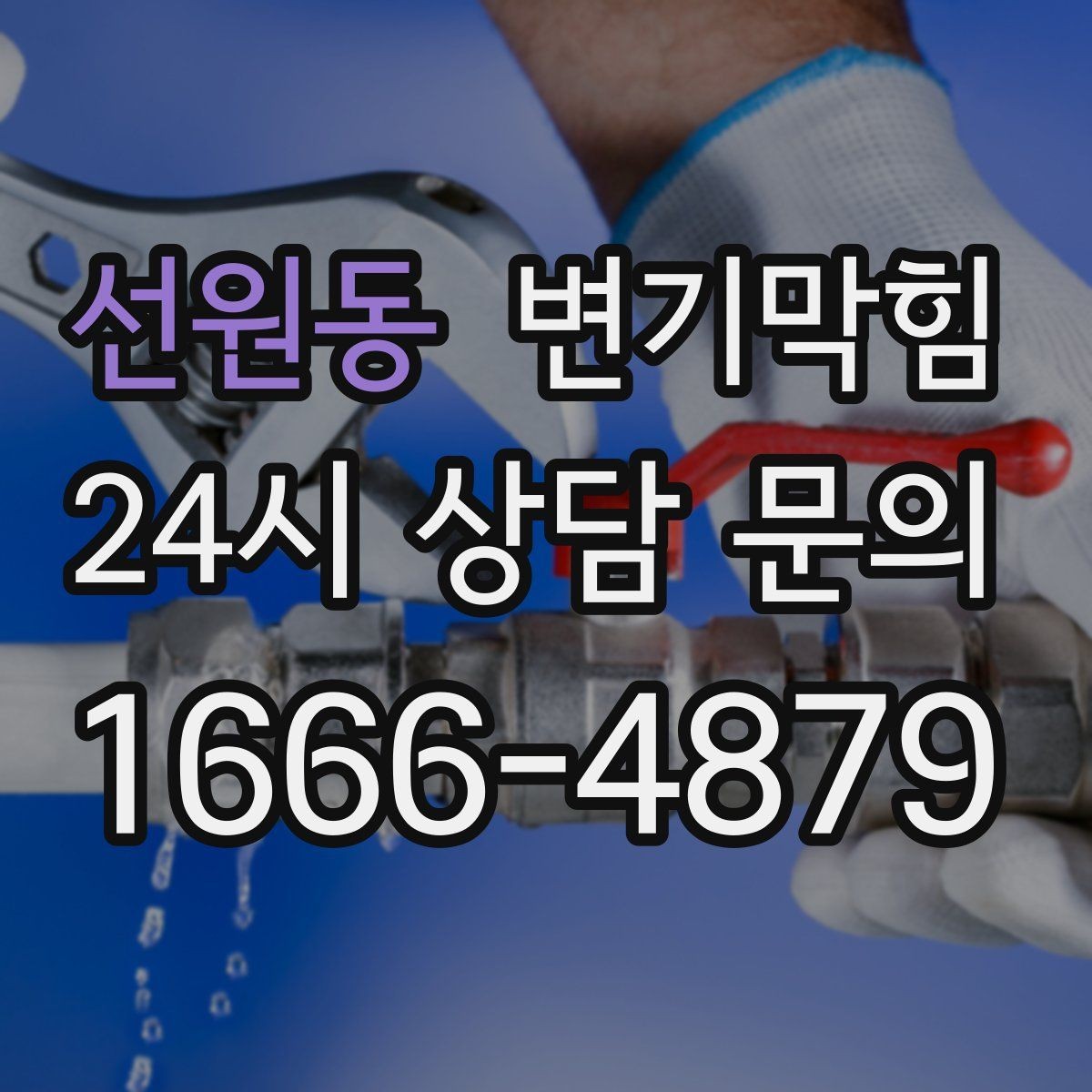 선원동 변기막힘 식당 화장실역류 주말 예약 처리