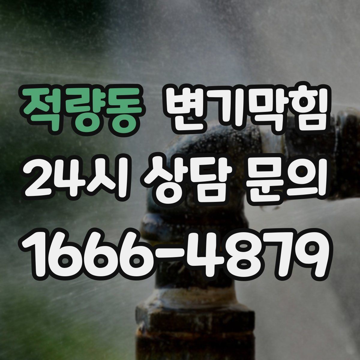 적량동 변기막힘 화장실변기막힘 청소 용품과의 상관관계