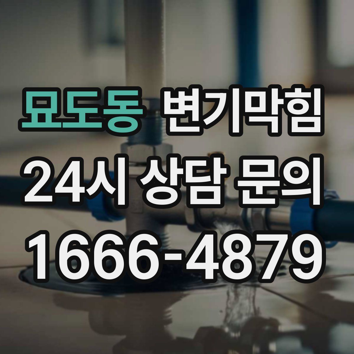 묘도동 변기막힘