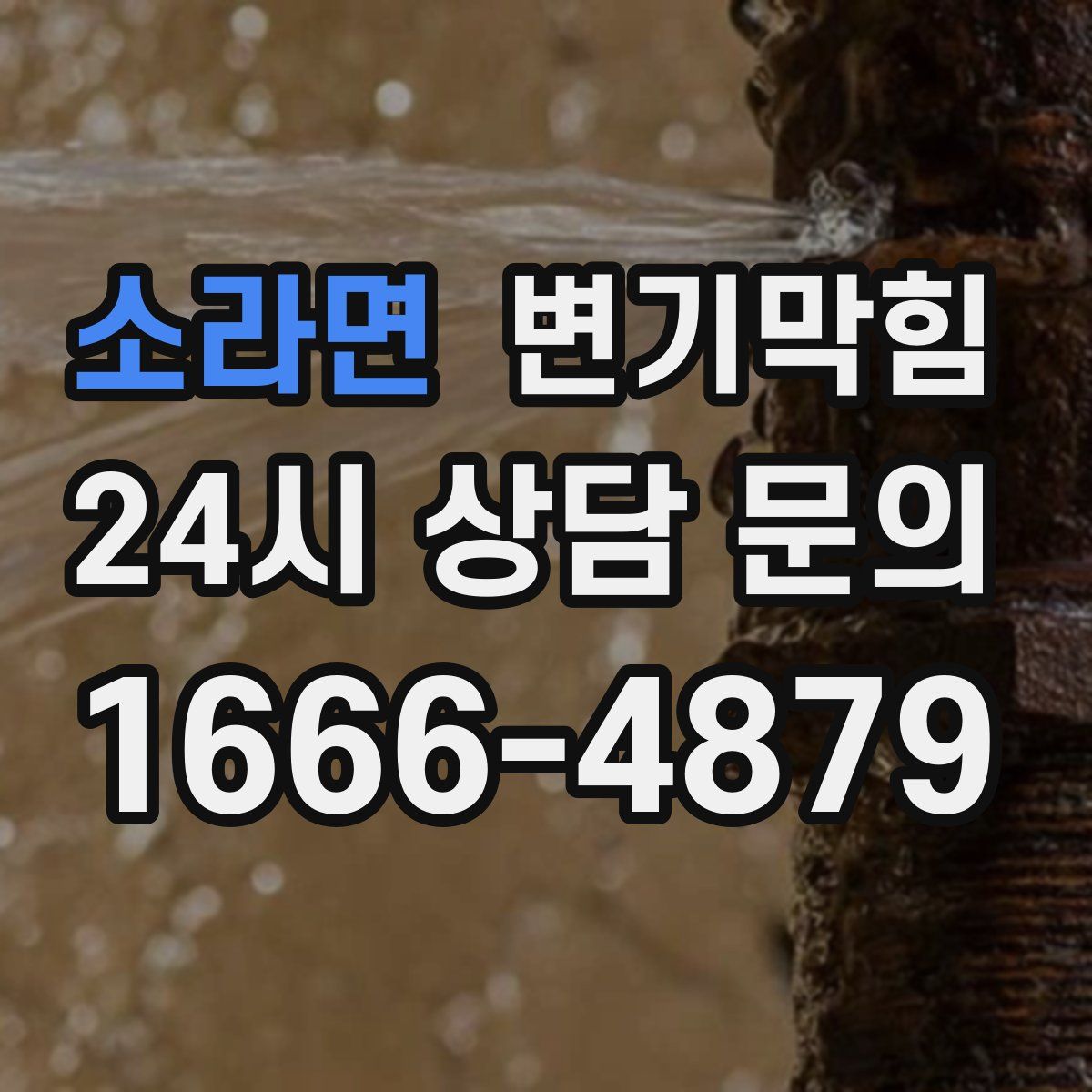 소라면 변기막힘