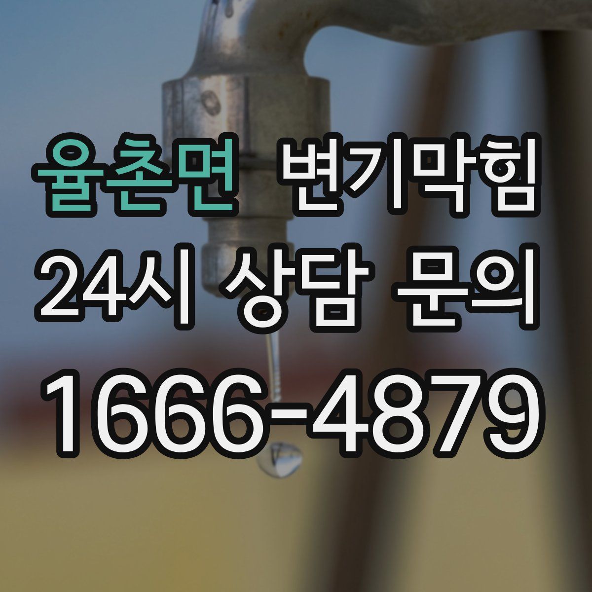 율촌면 변기막힘