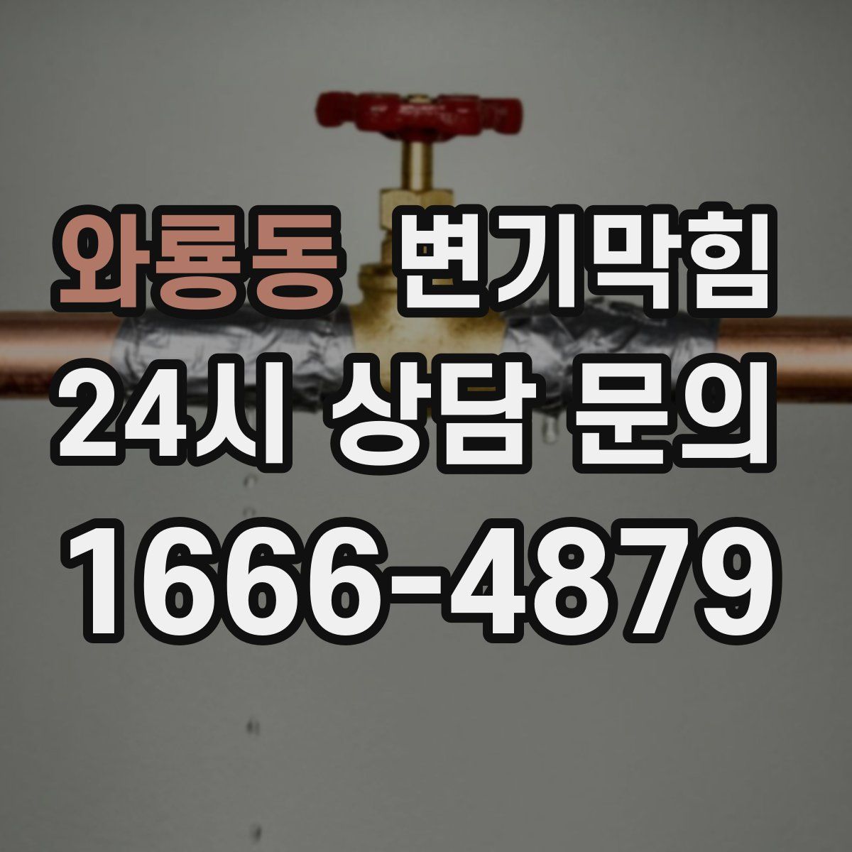 와룡동 변기막힘