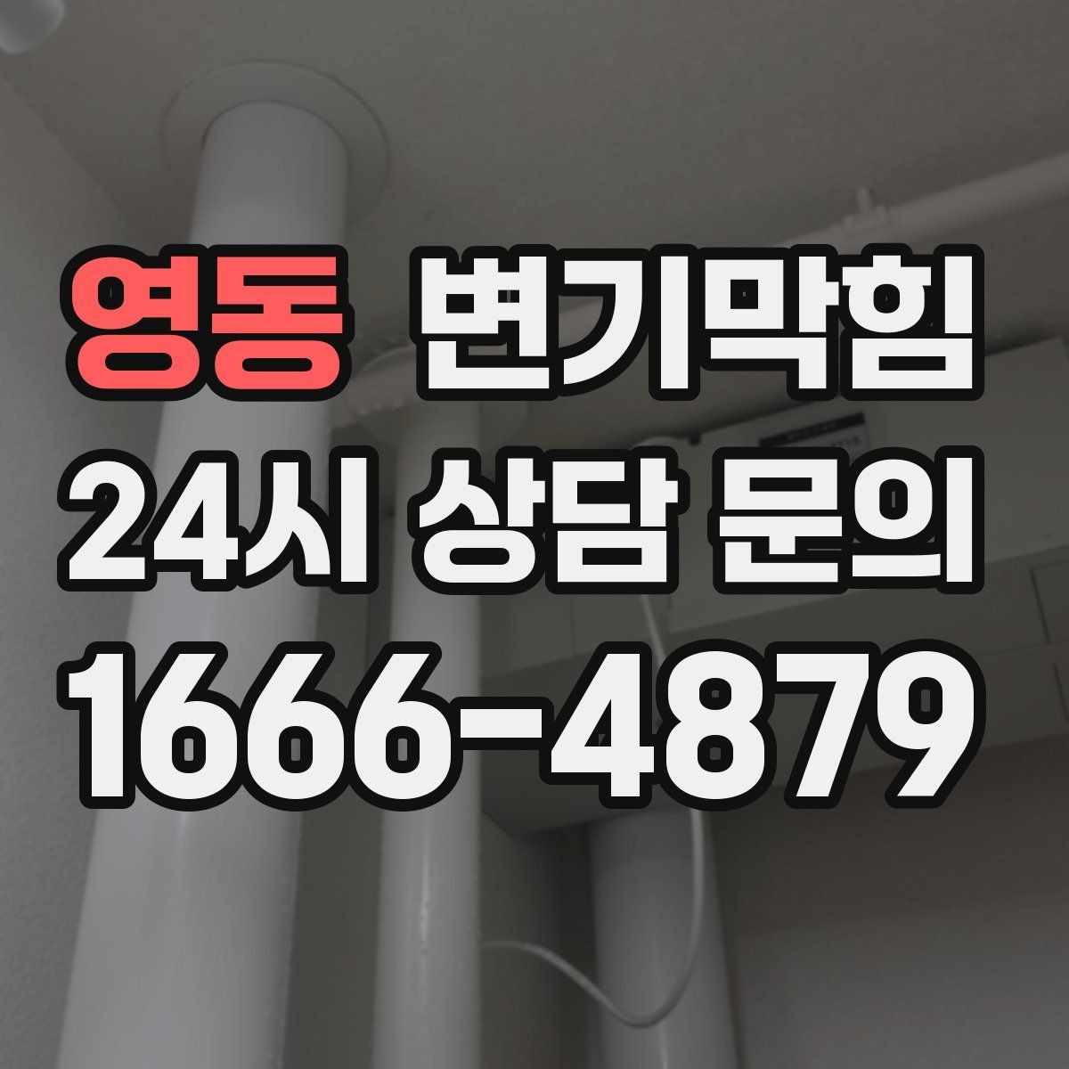 영동 변기막힘 식당 화장실막힘 피크 전 10분 솔루션