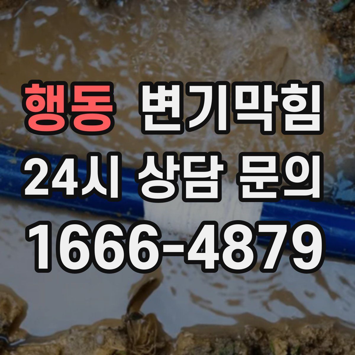 행동 변기막힘