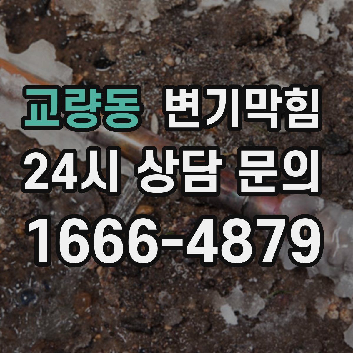 교량동 변기막힘