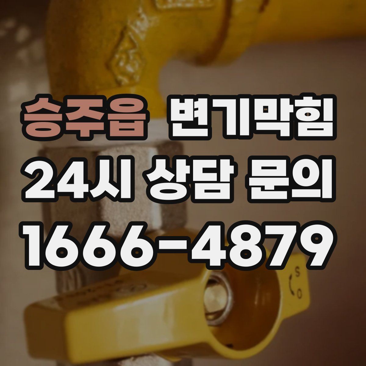 승주읍 변기막힘 상가 화장실역류 공조 연동 개선