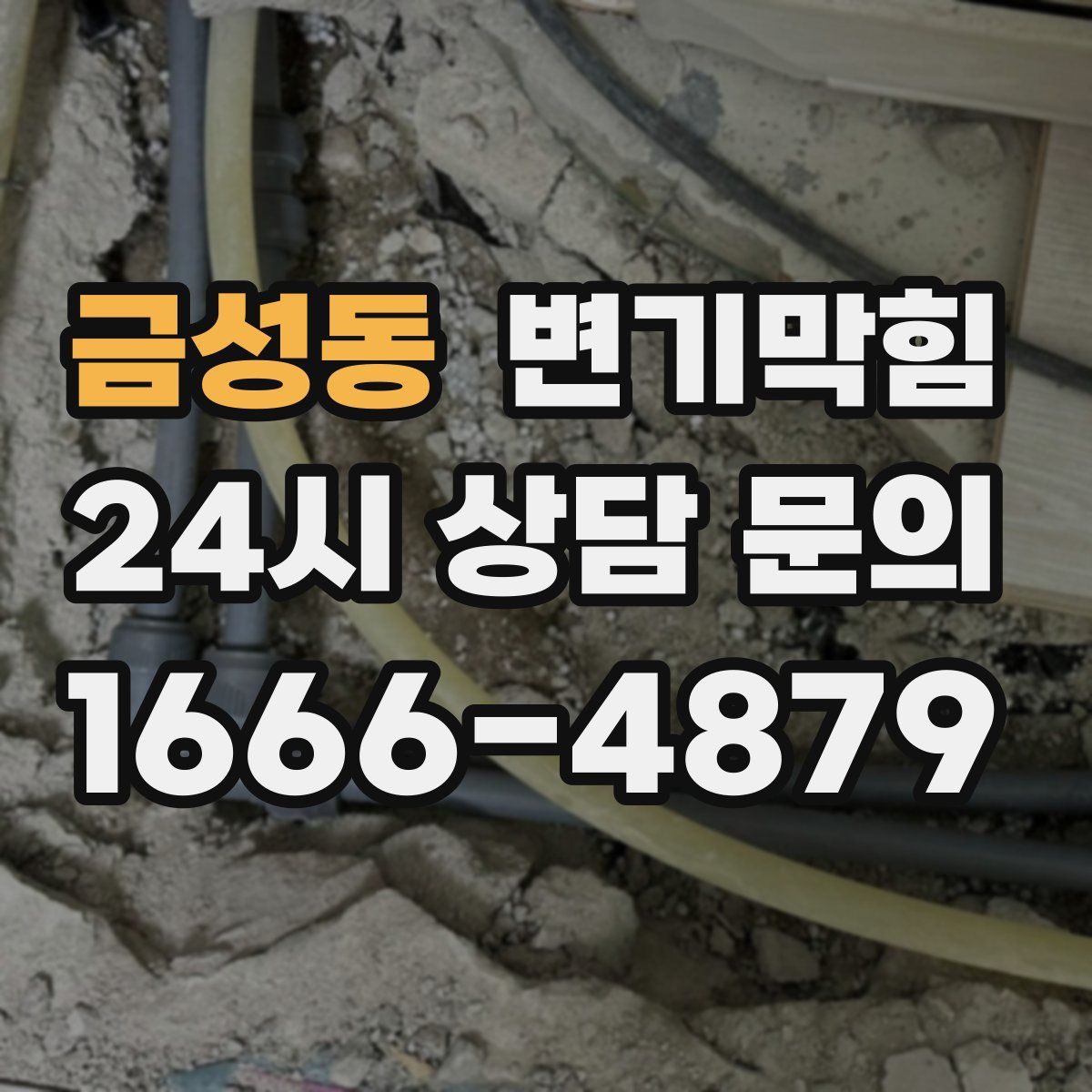 금성동 변기막힘