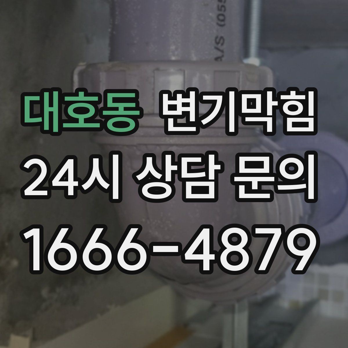 대호동 변기막힘 카페 변기뚫기 오픈 전 20분 복구