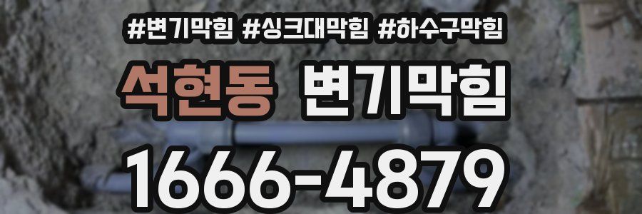 변기막힘