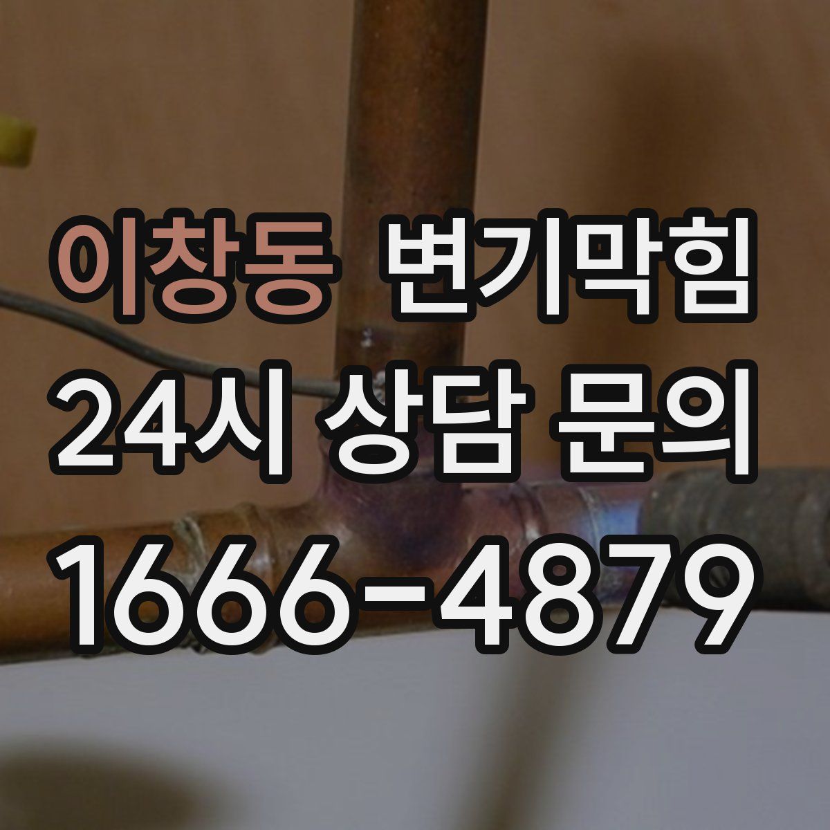 이창동 변기막힘