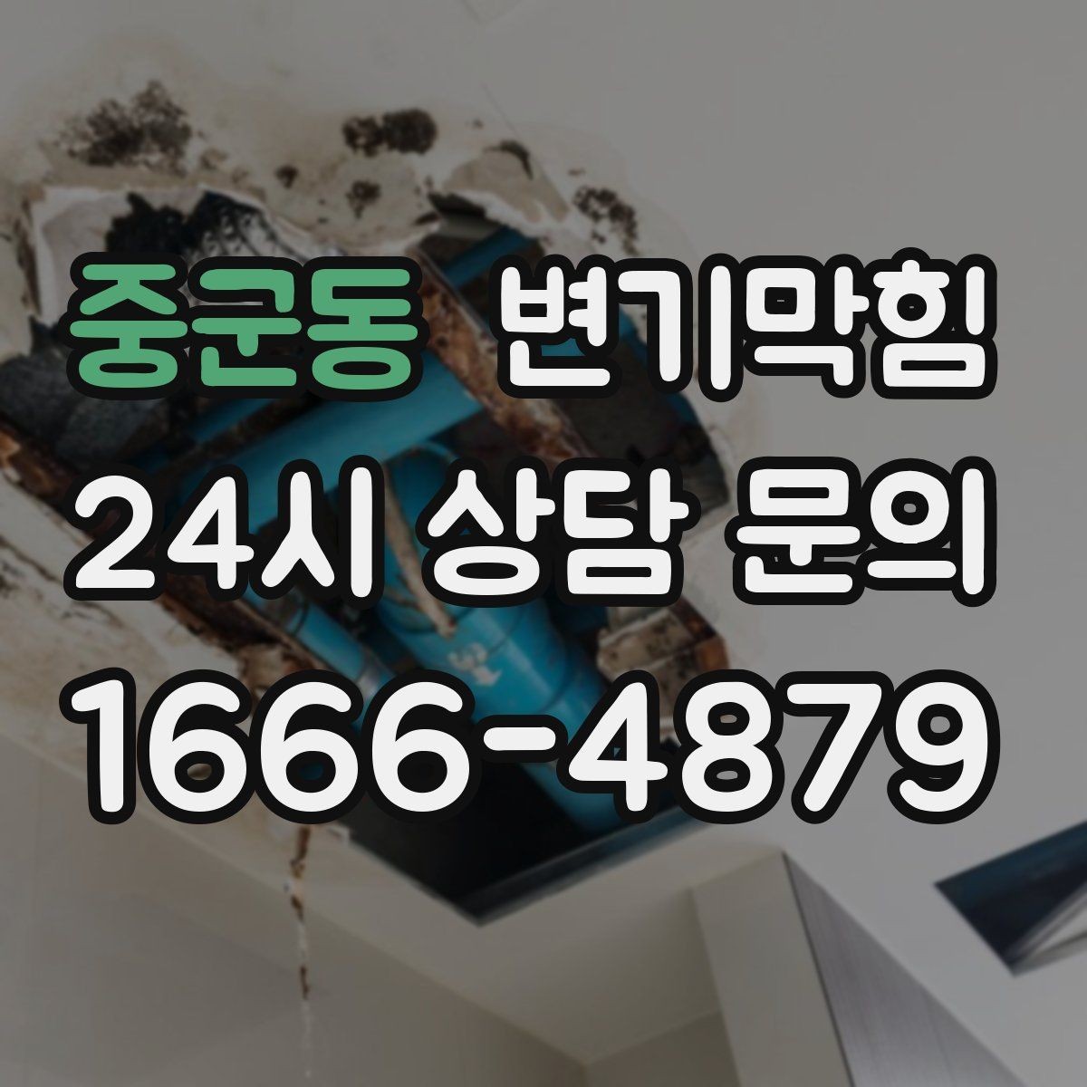 중군동 변기막힘 변기물이안찰때 냄새 역류 동반 시