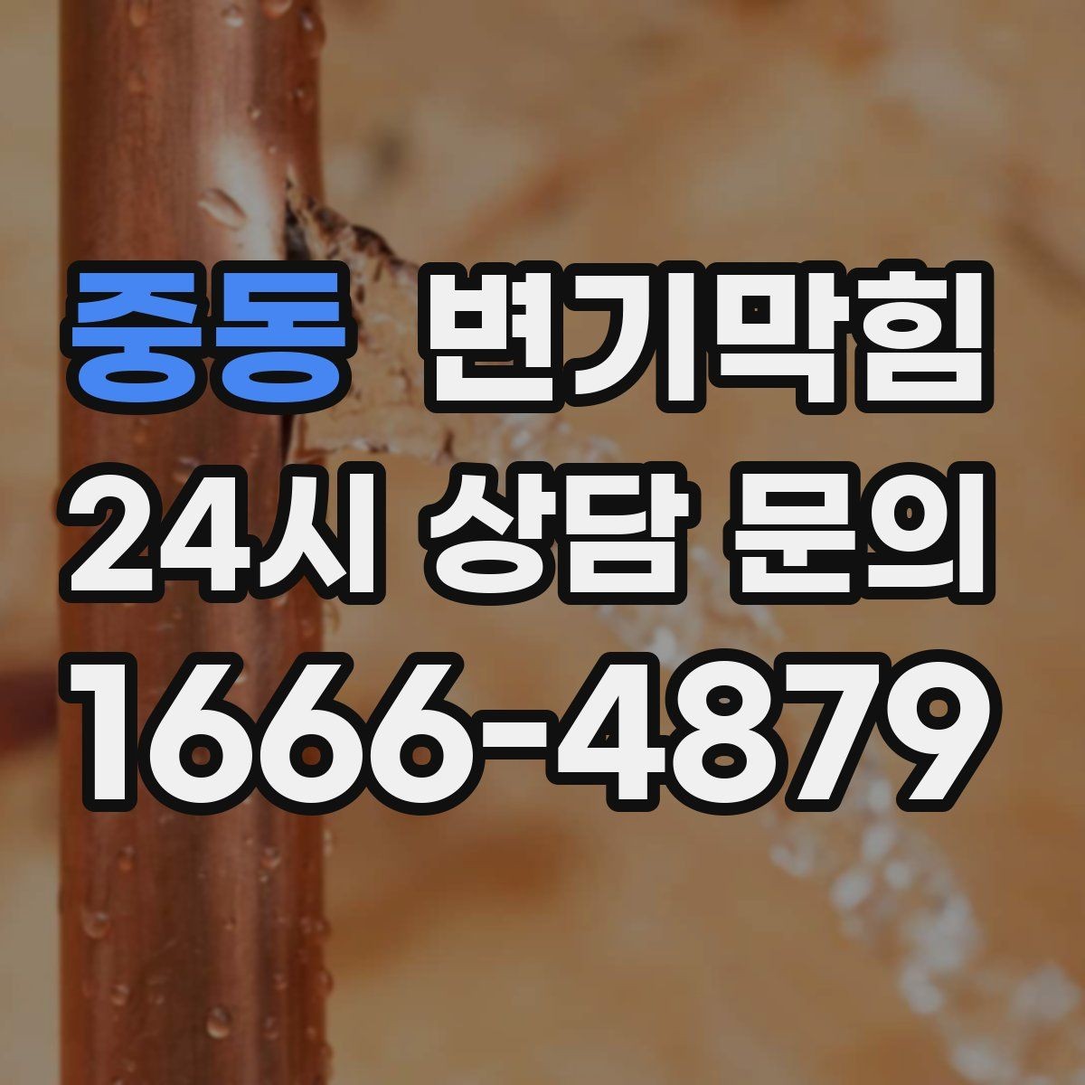 중동 변기막힘 카페 배수구막힘 오픈 체크 5분 솔루션