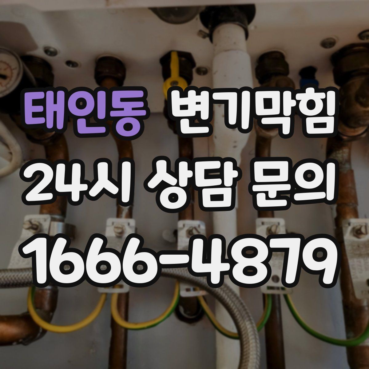 태인동 변기막힘 단독 주택 배수구막힘 바닥 젖음 종결