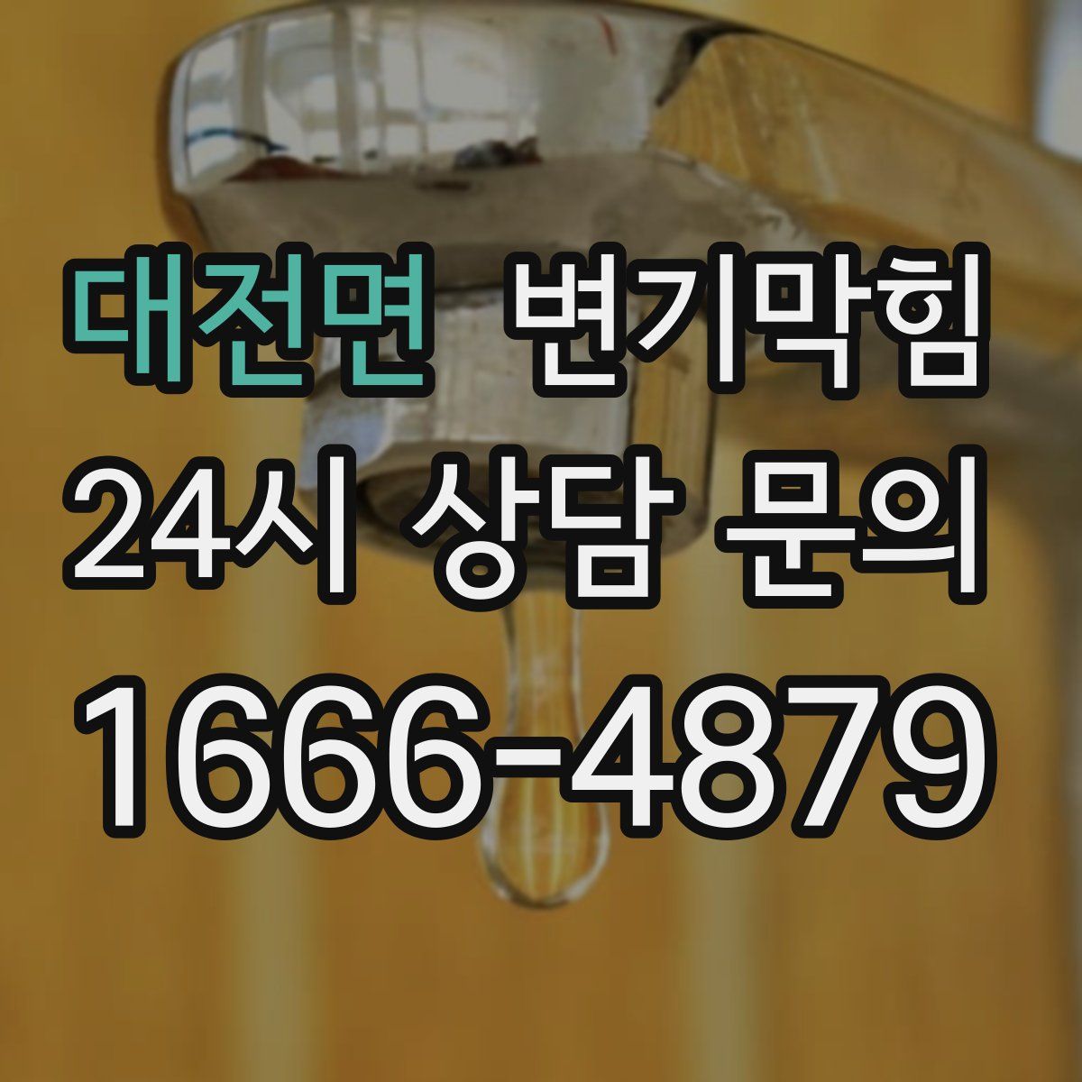 대전면 변기막힘