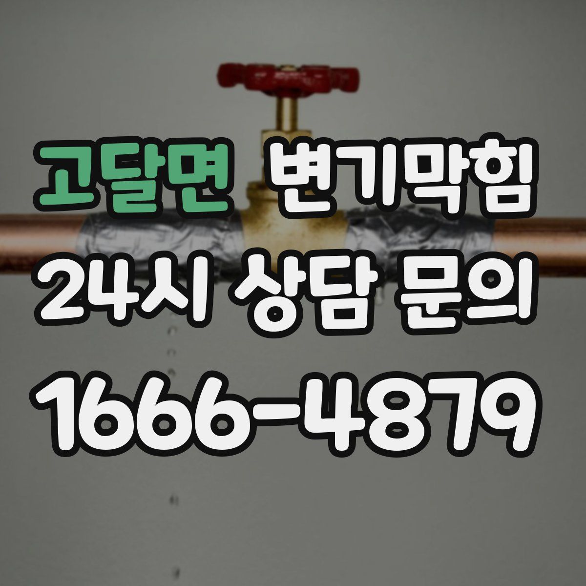 고달면 변기막힘