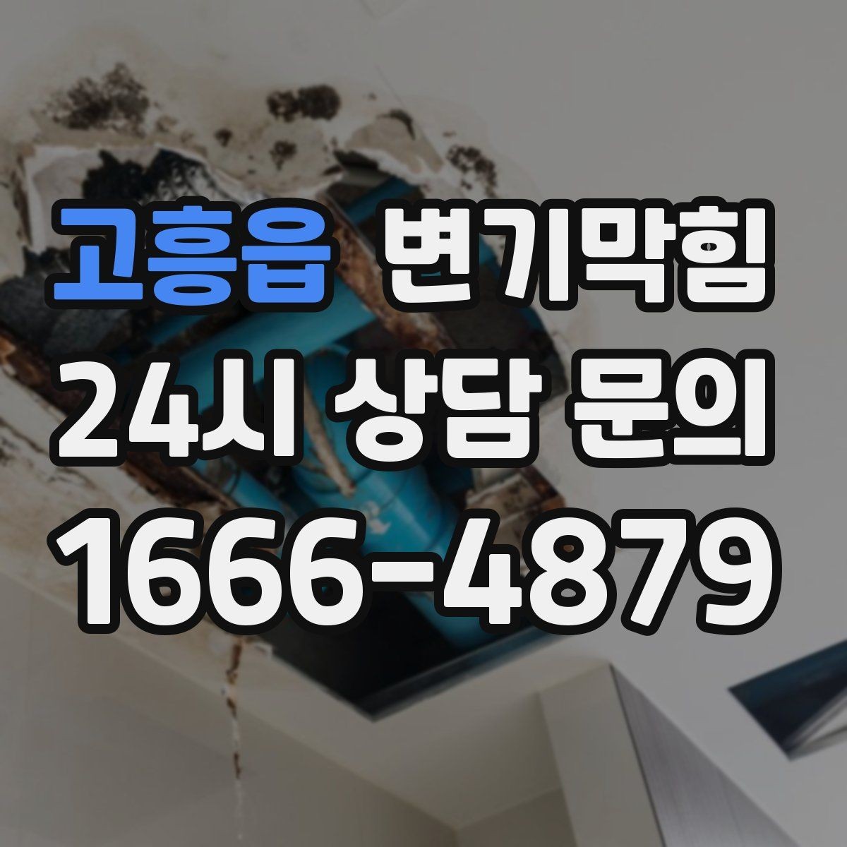 고흥읍 변기막힘 변기 뚫는 업체 예약 확정 문자 확인