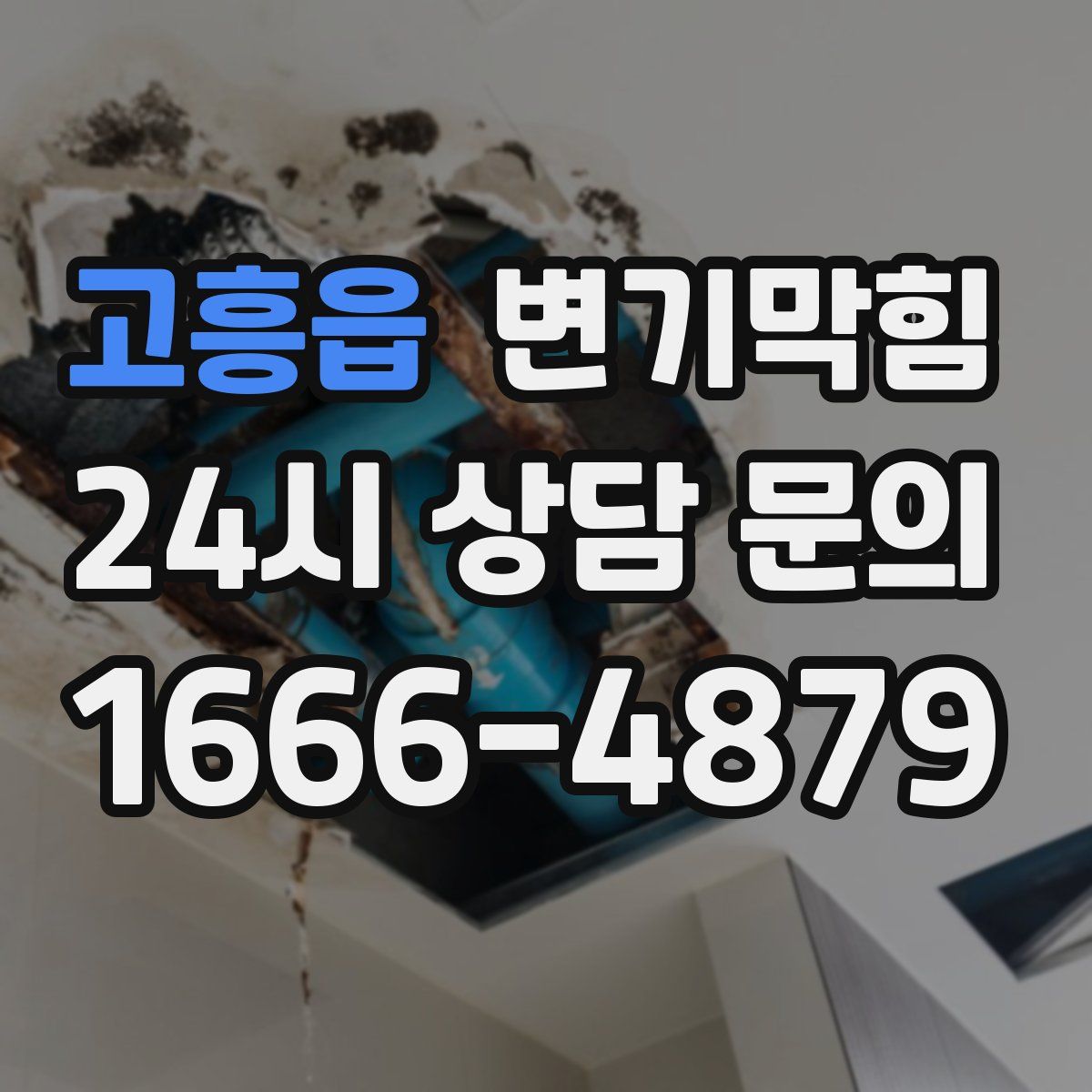 고흥읍 변기막힘