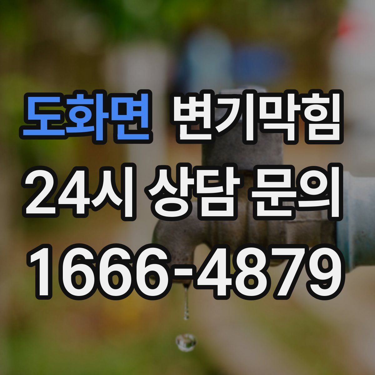 도화면 변기막힘