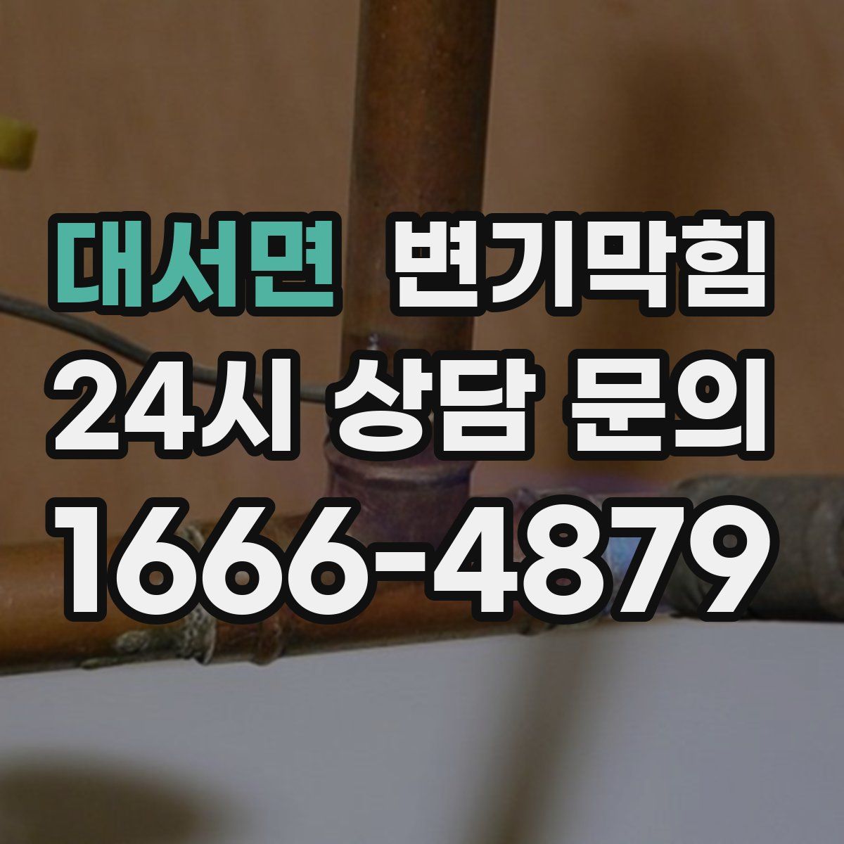 대서면 변기막힘