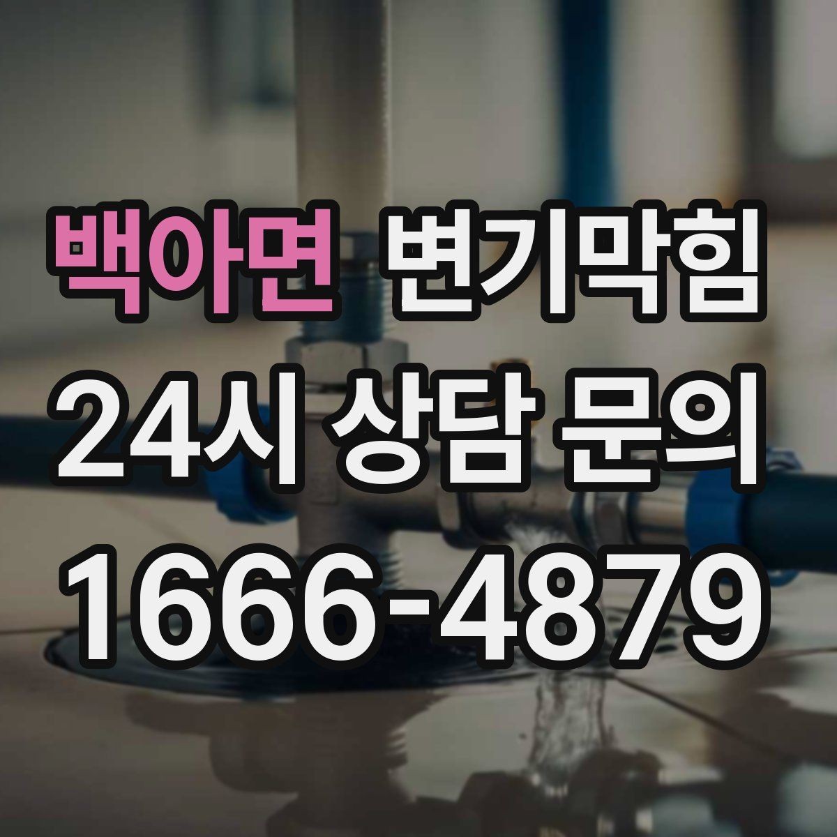 백아면 변기막힘 카페 수봉 유지로 냄새 제로