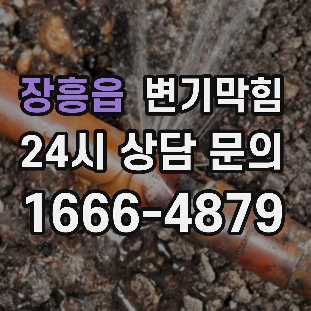 장흥읍 변기막힘 다가구 화장실역류 메인라인 압력 조정
