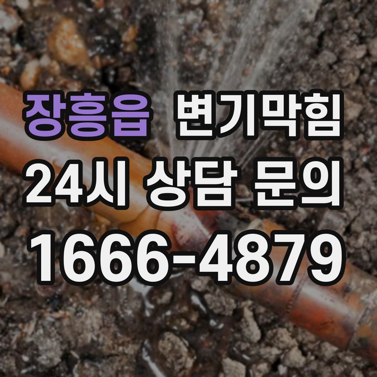 장흥읍 변기막힘