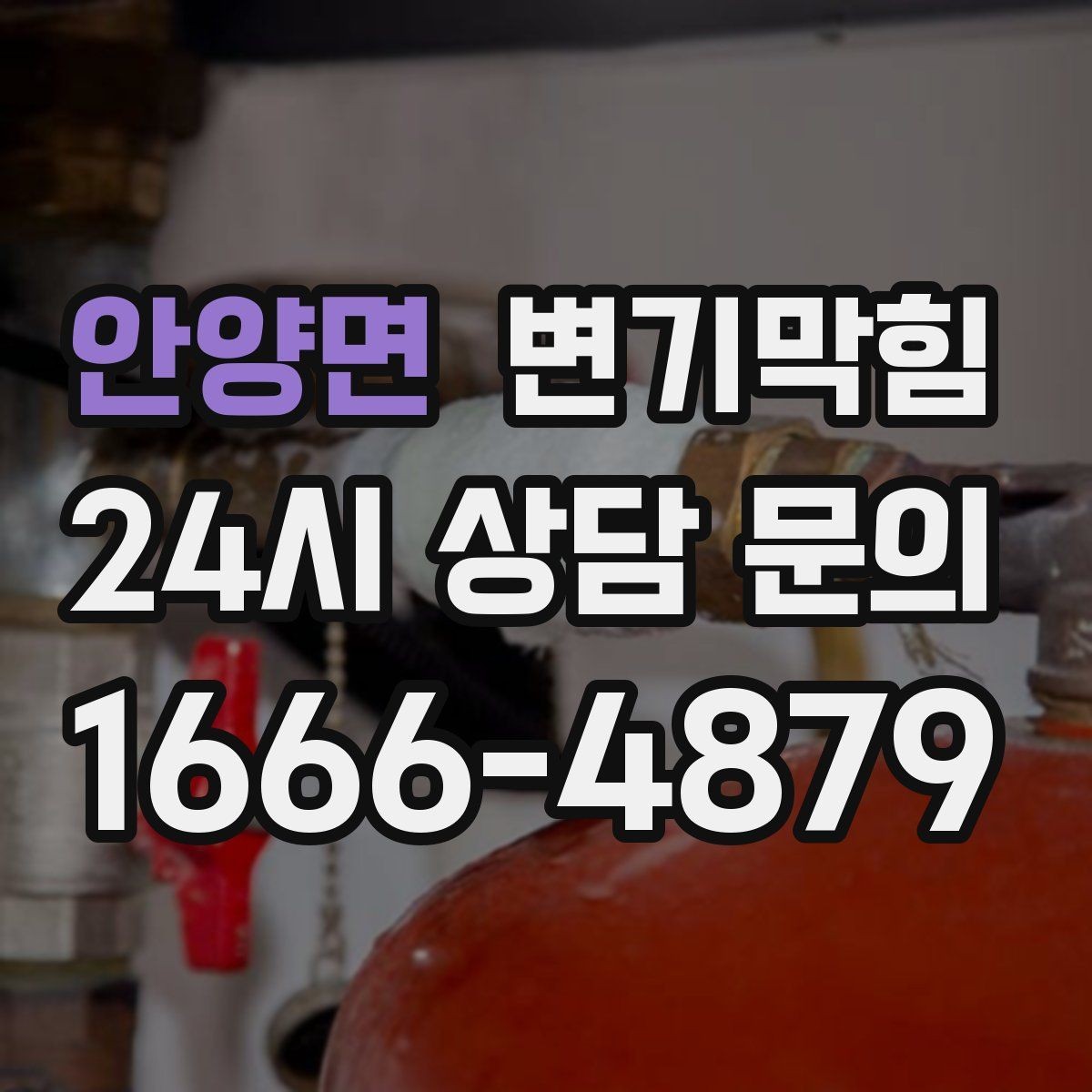 안양면 변기막힘 카페 변기뚫기 고객 대기 최소화