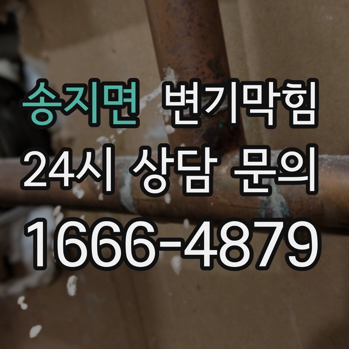 송지면 변기막힘