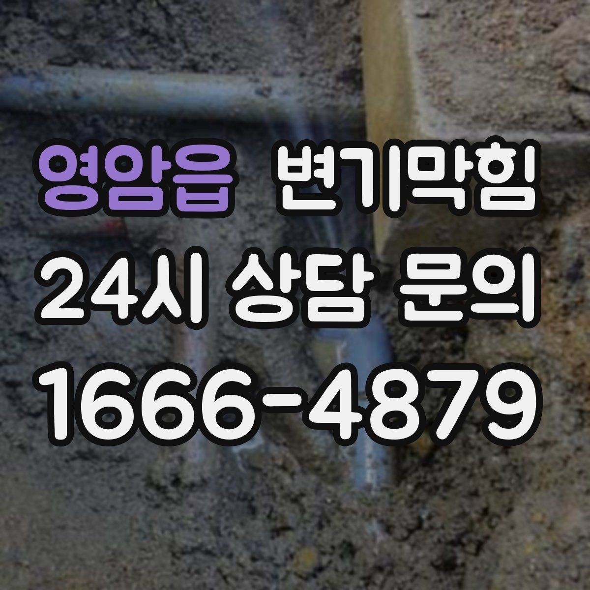 영암읍 변기막힘 아파트 화장실역류 저층 민원 해소