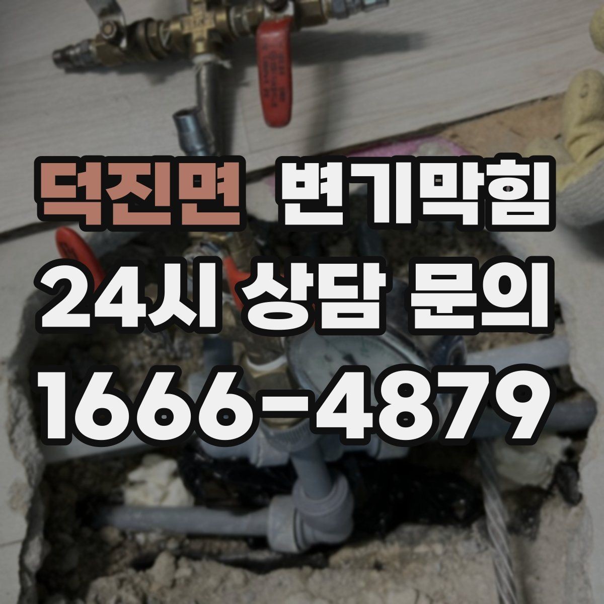 덕진면 변기막힘 카페 배수구막힘 합류 간섭 제거