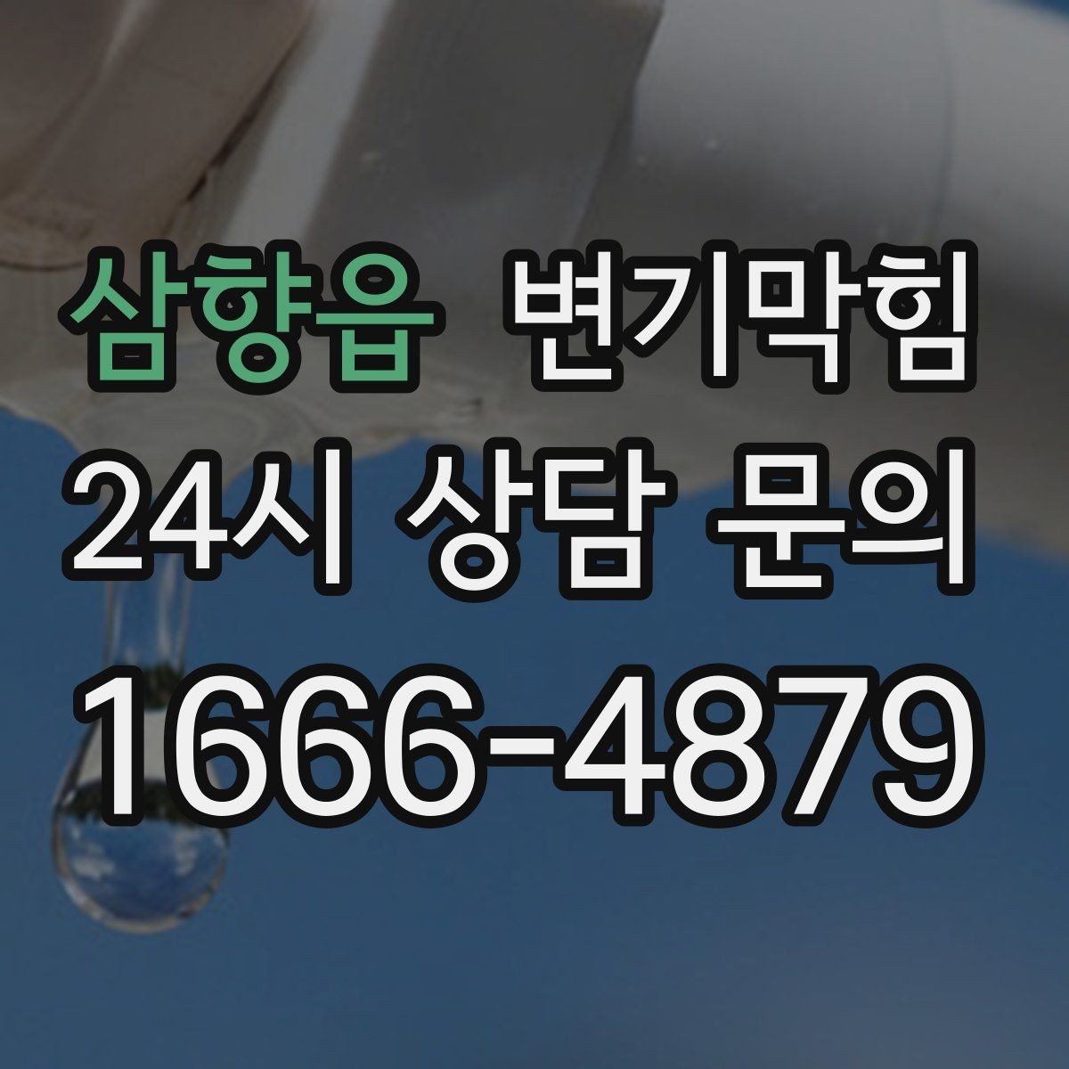 삼향읍 변기막힘 사무실 배수구막힘 회의 전 30분 해결