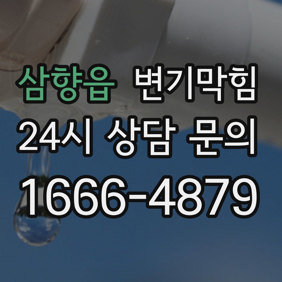 삼향읍 변기막힘