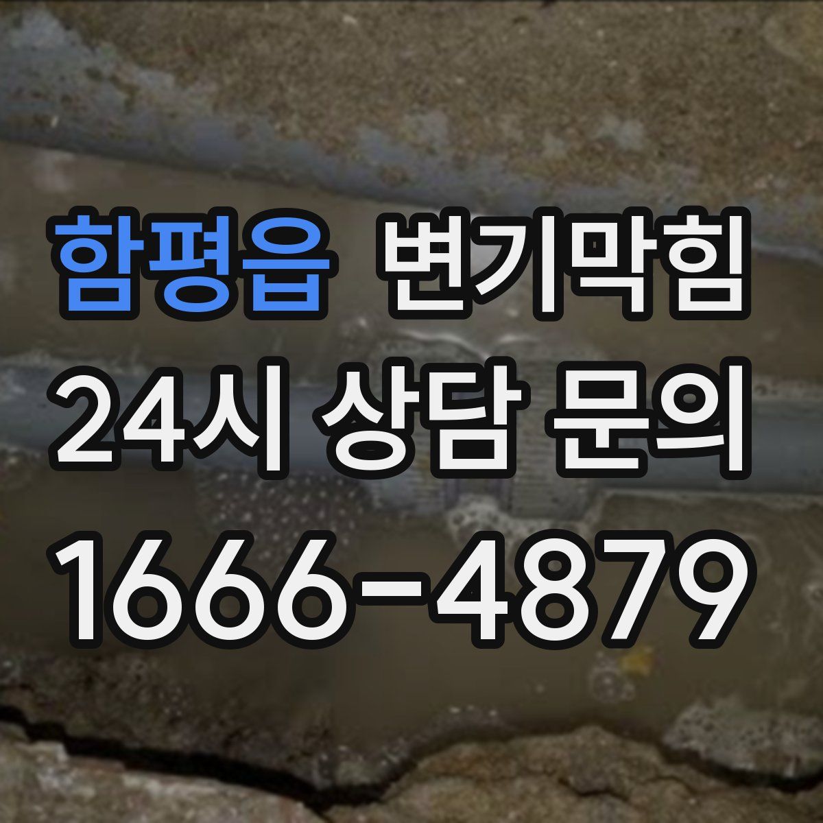 함평읍 변기막힘